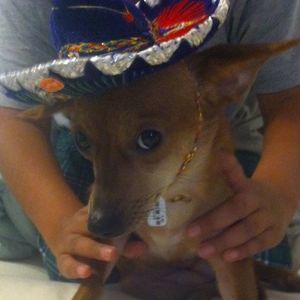 Meet your Posher, Lucia